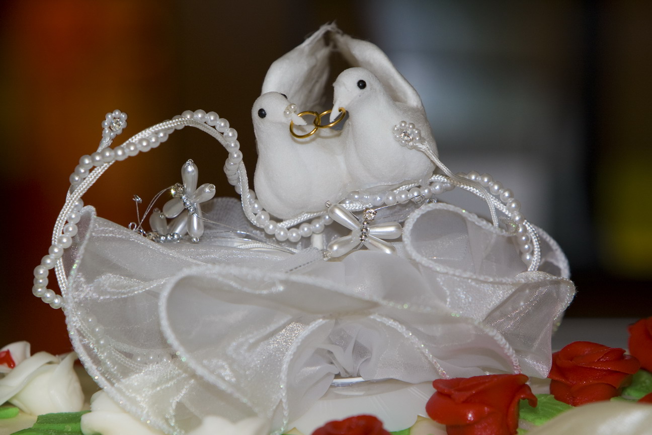 20170510_222417_001_resized